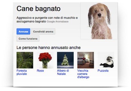 google nose_cane bagnato