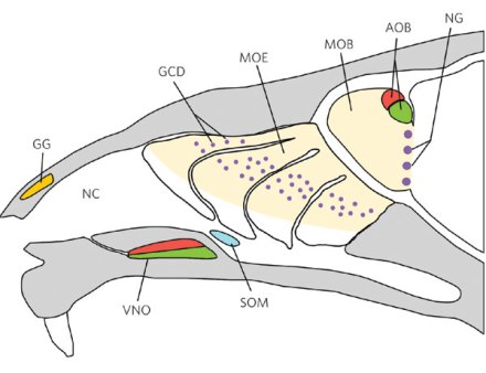 Zufall2006nature05404-f1.2