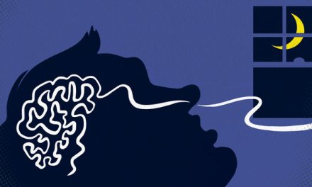 28OBOX2-articleLarge