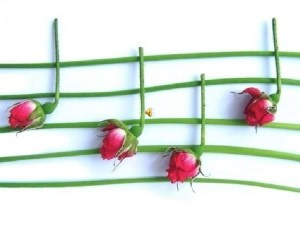 smell-the-music-1-728