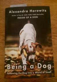 Photo 09-03-2017, 18 42 33