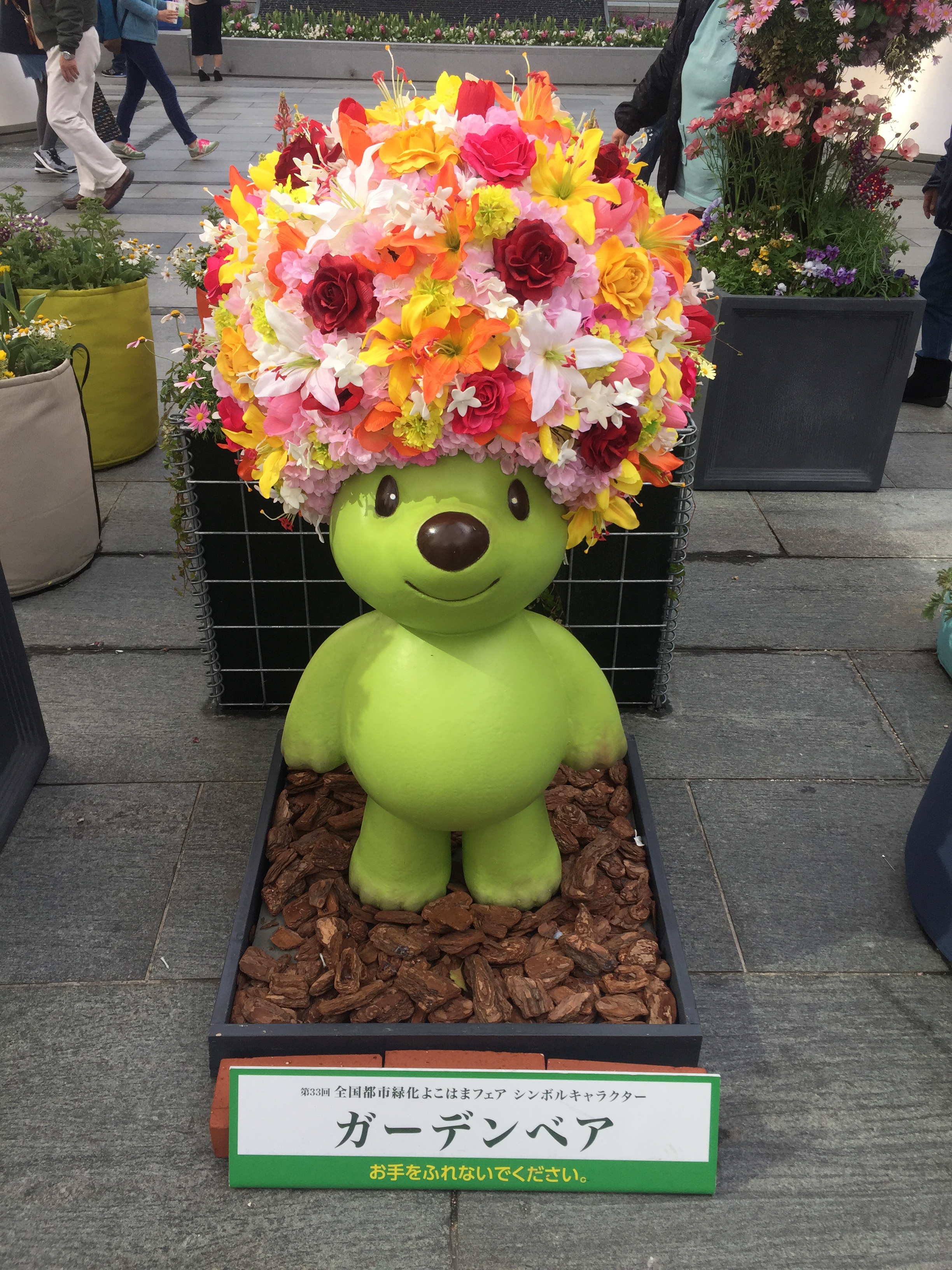 Photo 02.04.17, 07 37 11