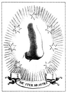 0392-100X.29.044.fig1Il naso by Antonio Guadagnoli from Arezzo.