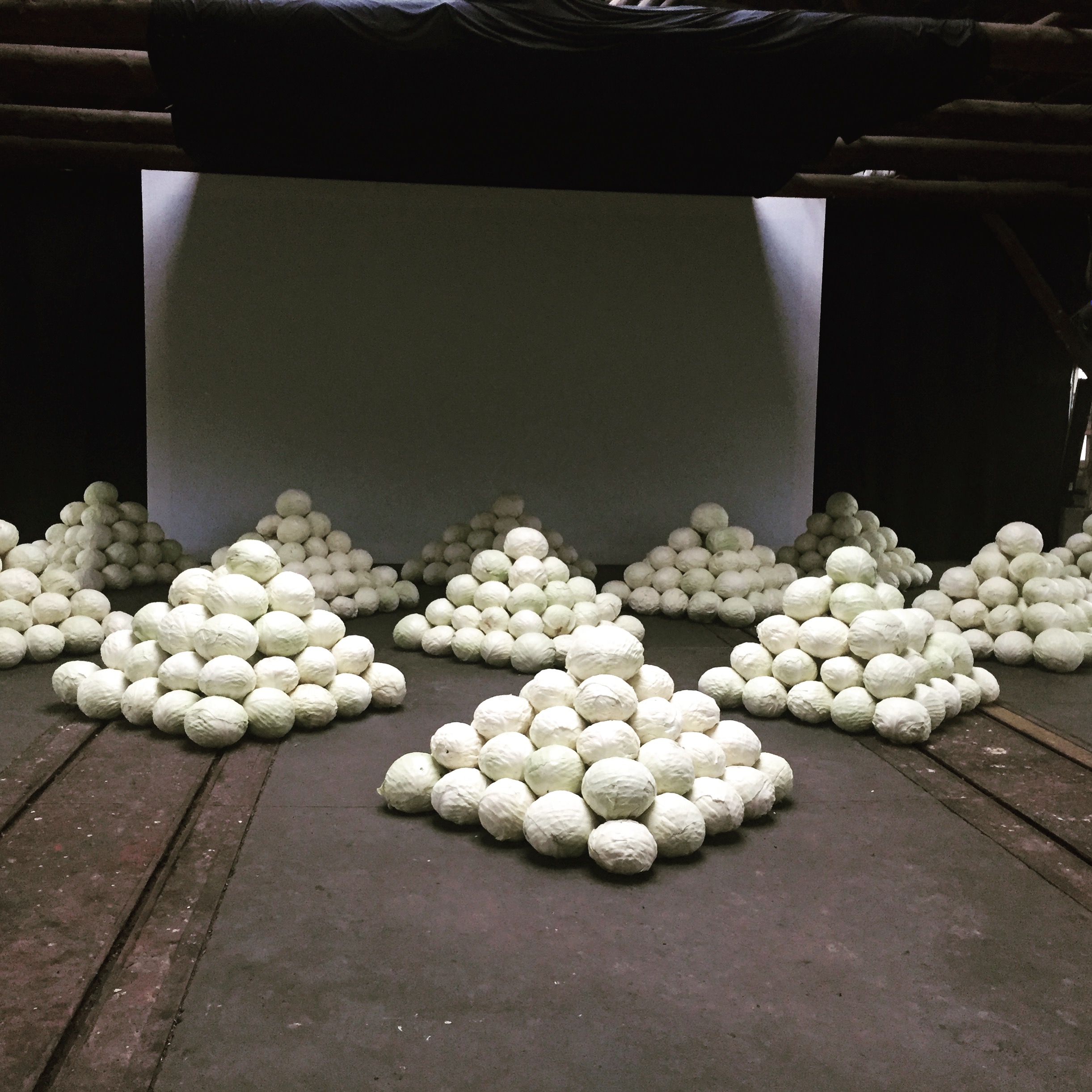 cabbage mediamatic_perfectsenseblog