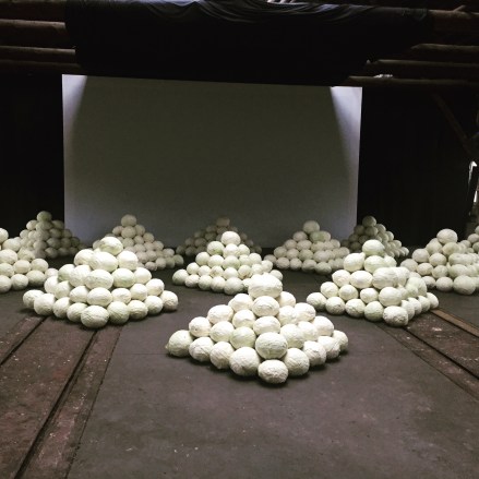 cabbage mediamatic_perfectsenseblog